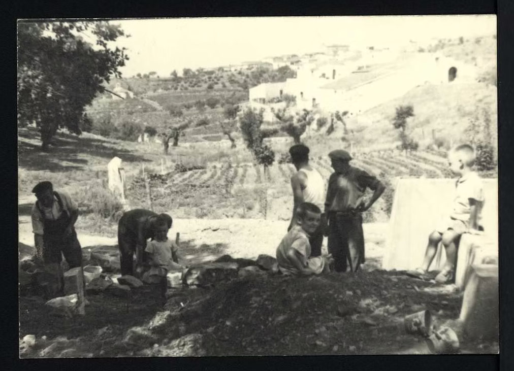 historia-aceite-oliva-emporda 1